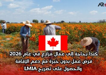 كندا بحاجة إلى عمال مزارع في عام 2026 : فرص عمل بدون خبرة مع دعم الإقامة والحصول على تصريح LMIA