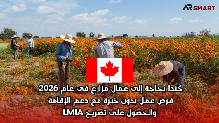 كندا بحاجة إلى عمال مزارع في عام 2026 : فرص عمل بدون خبرة مع دعم الإقامة والحصول على تصريح LMIA