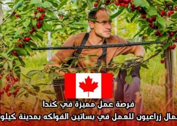 فرصة عمل مميزة في كندا: عمال زراعيون للعمل في بساتين الفواكه بمدينة كيلونا