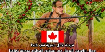 فرصة عمل مميزة في كندا: عمال زراعيون للعمل في بساتين الفواكه بمدينة كيلونا