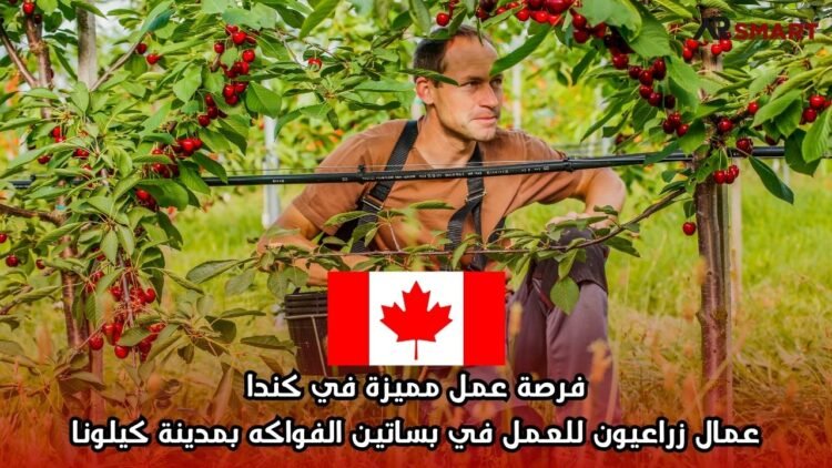 فرصة عمل مميزة في كندا: عمال زراعيون للعمل في بساتين الفواكه بمدينة كيلونا