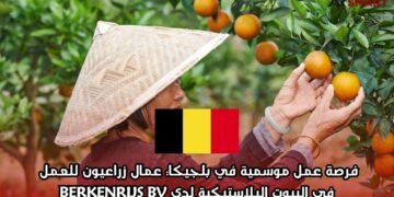 فرصة عمل موسمية في بلجيكا: عمال زراعيون للعمل في البيوت البلاستيكية لدى BERKENRIJS BV