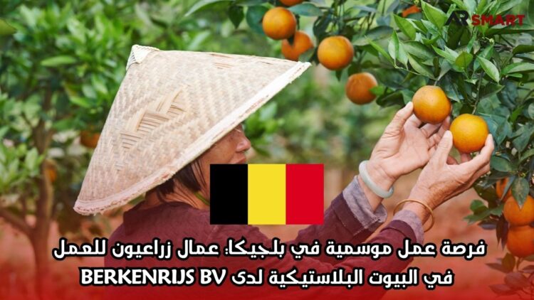 فرصة عمل موسمية في بلجيكا: عمال زراعيون للعمل في البيوت البلاستيكية لدى BERKENRIJS BV