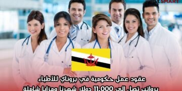 عقود عمل حكومية في بروناي للأطباء برواتب تصل إلى 11,000 دولار شهريًا ومزايا شاملة