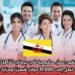 عقود عمل حكومية في بروناي للأطباء برواتب تصل إلى 11,000 دولار شهريًا ومزايا شاملة
