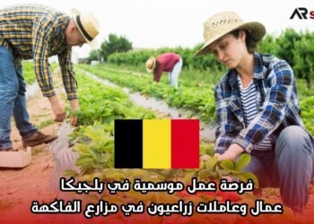 فرصة عمل موسمية في بلجيكا: عمال وعاملات زراعيون في مزارع الفاكهة