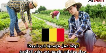 فرصة عمل موسمية في بلجيكا: عمال وعاملات زراعيون في مزارع الفاكهة
