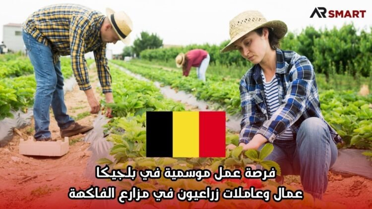 فرصة عمل موسمية في بلجيكا: عمال وعاملات زراعيون في مزارع الفاكهة