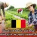 فرصة عمل موسمية في بلجيكا: عمال وعاملات زراعيون في مزارع الفاكهة