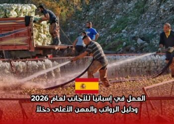 ‫العمل في إسبانيا  لعام 2026 المهن المطلوبة، الأجور، والمسار القانوني للهجرة والعمل