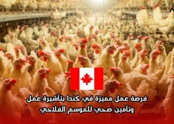 فرصة عمل مميزة في كندا بتأشيرة عمل وتأمين صحي للموسم الفلاحي