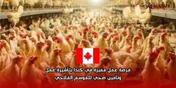 فرصة عمل مميزة في كندا بتأشيرة عمل وتأمين صحي للموسم الفلاحي